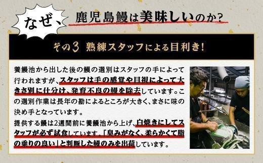 縺縺ェ縺 闥イ辟シ 200gテ5蟆セ縲宣ケソ蜈仙ウカ逕」縲大慍荳区ーエ縺ァ閧イ縺ヲ縺溽オカ蜩魏サ