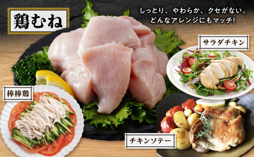 æ¡å³¶é¶ããïŒç¹è£œãã©ã€ã³æ¶²ä»èŸŒã¿ã»äžå³ä»ãïŒãå°åãããã¯ã2.4kgïŒ8ããã¯ïŒ