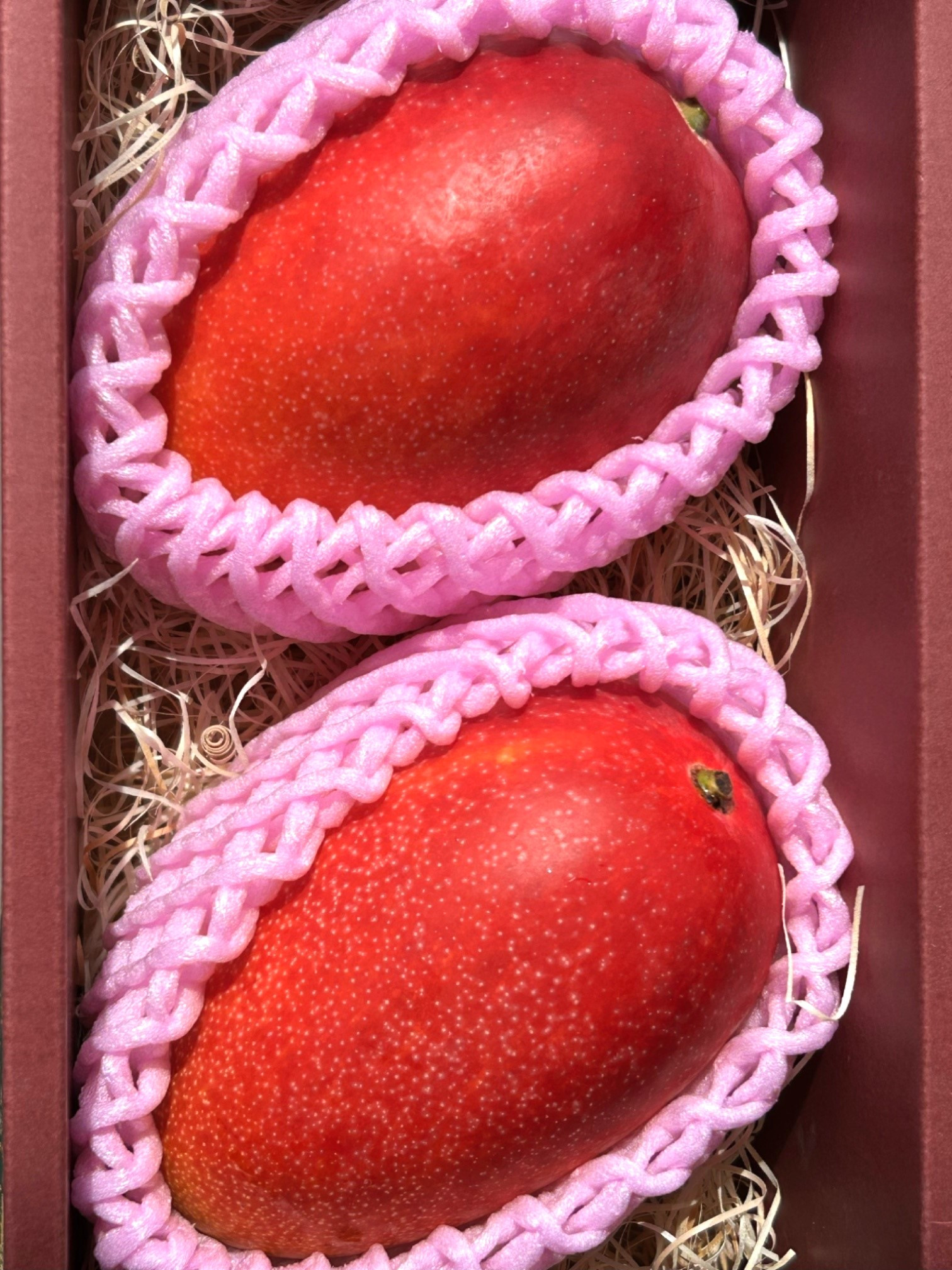 老舗青果店のご家庭用　アップルマンゴー　2～3玉