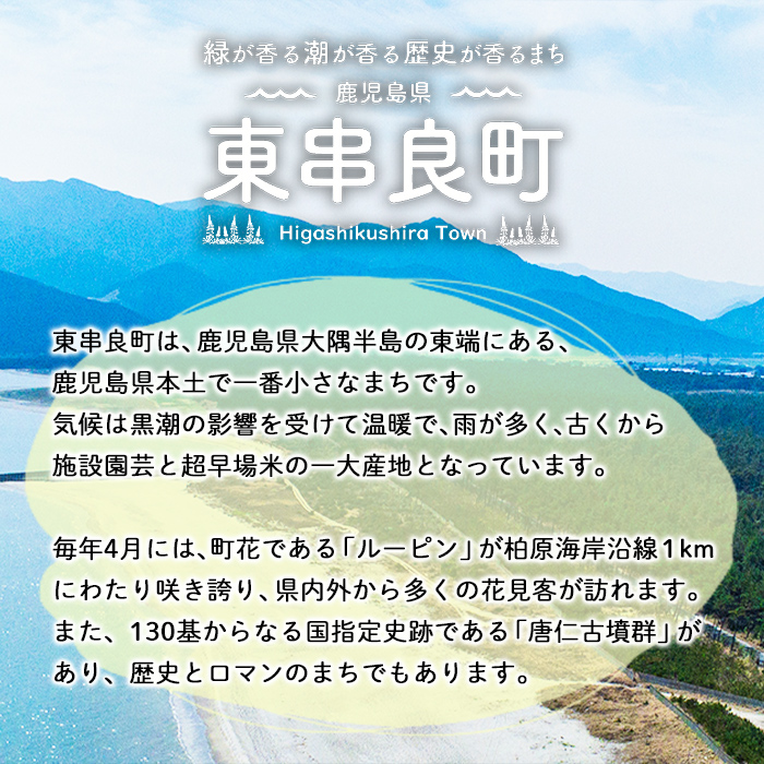 【0034601a】＜返礼品なし＞鹿児島県本土でいちばん小さな町「東串良町」への寄附(1口：3,000円)