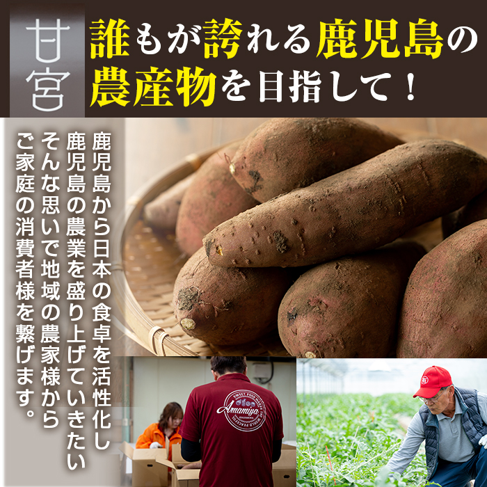 【0222610a】東串良の冷凍焼き芋バラエティーセット(計4kg)冷凍 焼芋 焼き芋 やきいも さつまいも さつま芋 スイーツ 熟成 詰合せ【甘宮】