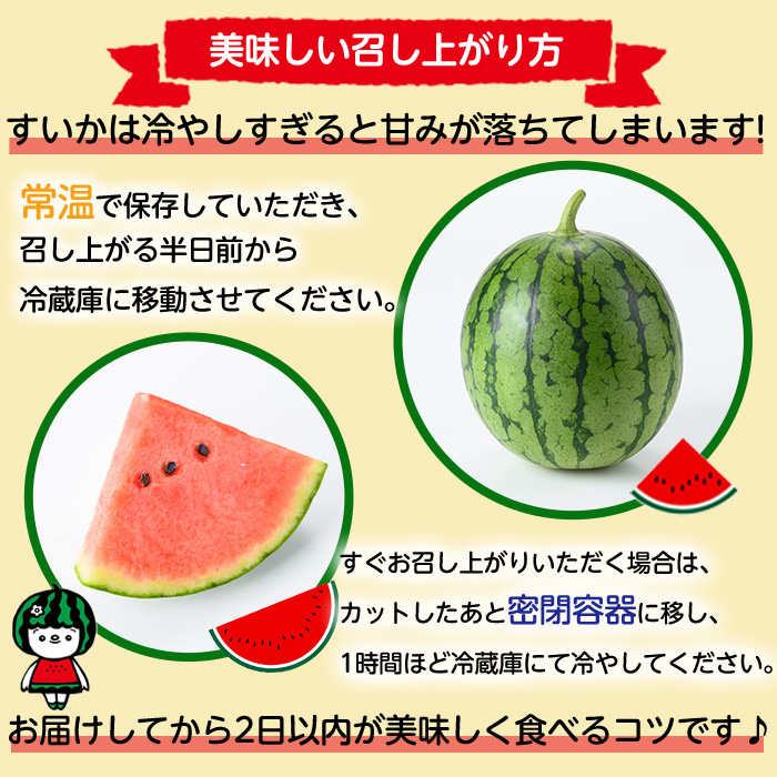 ã0165005aãã2026幎5æä»¥éçºéãå°çãããã»ããã»ã¬ãŒã«(2çã»èš4kg以äž) æç© æå® ãã«ãŒã ã¹ã€ã« ããã¬ãŒã« æ°ééå® æééå®ãå®®å
蟲åã