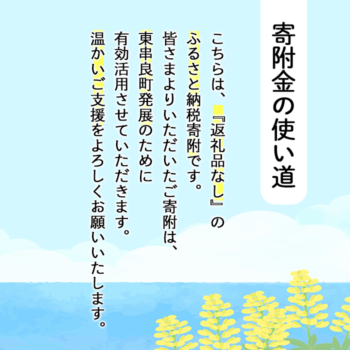 【0034601a】＜返礼品なし＞鹿児島県本土でいちばん小さな町「東串良町」への寄附(1口：3,000円)