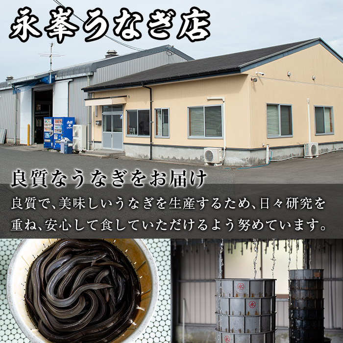 【18720-F】＜父の日ギフト＞大隅産うなぎの蒲焼(有頭)＜計約420g(約140g×3尾)＞ うなぎ 高級 ウナギ 鰻 国産 蒲焼 蒲焼き たれ 鹿児島 【永峯うなぎ店】