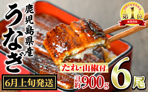 【0394344a-2606】＜6月上旬発送予定＞東串良町のうなぎ蒲焼(無頭)(6尾・計約900g・タレ、山椒付) うなぎ 高級 ウナギ 鰻 国産 蒲焼 蒲焼き たれ 鹿児島 ふるさと 人気 【アクアおおすみ】