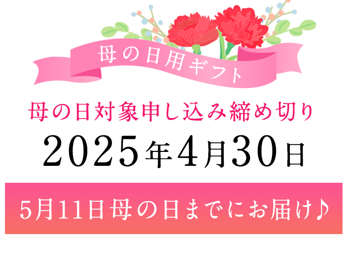 【0114703a-M】＜母の日ギフト＞サクッ、もちっ！東串良のこだわり2種ナポリピッツァセット(各1枚・合計2枚) ピザ マルゲリータ クアトロフォルマッジ 詰め合わせ セット 冷凍 チーズ 贈答 プレゼント ギフト 母の日 【グラッツェタンテ】