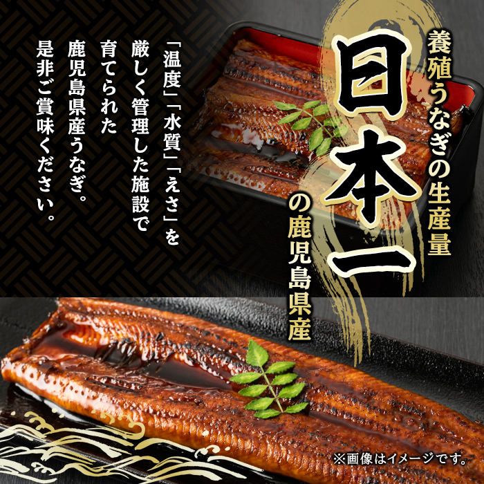 【0085704a】＜おためし＞大隅産鰻のきざみうなぎ弁当(冷凍品)(1食分・計240g タレ、山椒付) うなぎ 高級 ウナギ 鰻 きざみ鰻 国産 ごはん ご飯 お米 おかず 鹿児島 ふるさと レンチン 電子レンジ 【南嘉起屋】