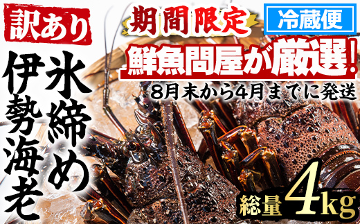 【1353211a】＜訳あり＞朝獲れ発送！鮮魚問屋が厳選した氷締め伊勢海老(4～10尾・総量4kg以上) 伊勢エビ 伊勢えび 刺身 さしみ えび 海老 魚介類 海鮮 刺身 塩焼き 訳あり 訳アリ 【江川商店】