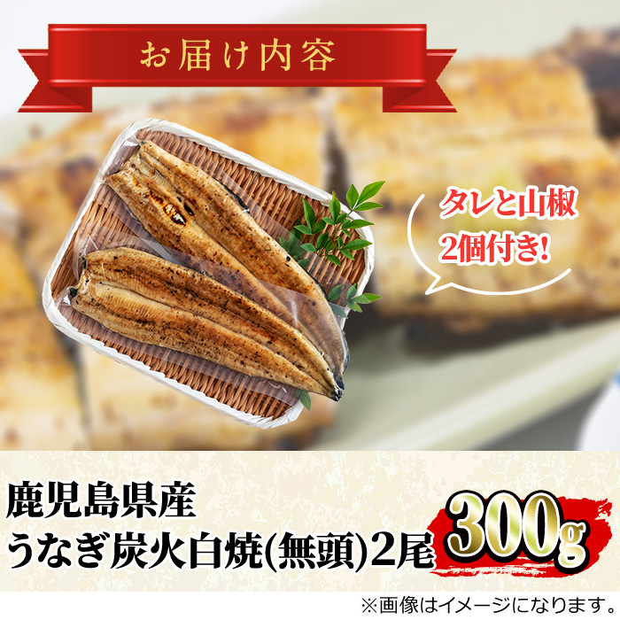 【0174320a】東串良町のうなぎ炭火白焼(無頭)(2尾・計約300g・タレ、山椒付) うなぎ 高級 ウナギ 鰻 国産 白焼き 鹿児島 ふるさと 人気【アクアおおすみ】