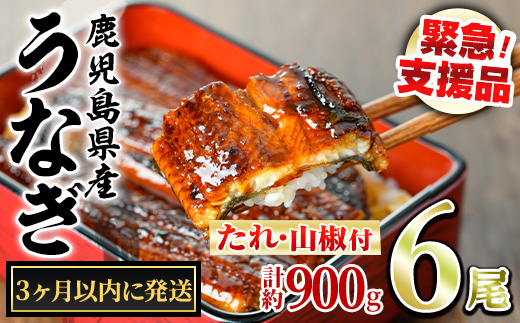 【0334338a】＜3ヶ月以内に発送予定＞東串良町のうなぎ蒲焼(無頭)(6尾・計約900g・タレ、山椒付) うなぎ 高級 ウナギ 鰻 国産 蒲焼 蒲焼き たれ 鹿児島 ふるさと 人気 【アクアおおすみ】