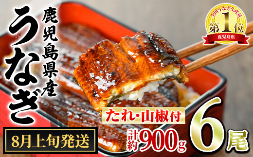 【0304349a-2608】＜8月上旬発送予定＞東串良町のうなぎ蒲焼(無頭)(6尾・計約900g・タレ、山椒付) うなぎ 高級 ウナギ 鰻 国産 蒲焼 蒲焼き たれ 鹿児島 ふるさと 人気 【アクアおおすみ】