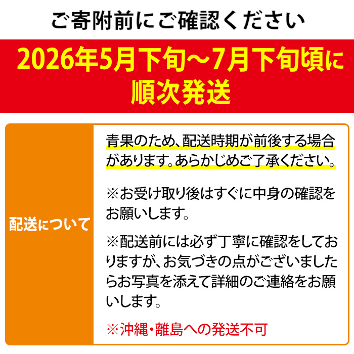 【0145912a】＜秀品・数量限定！先行予約＞南国鹿児島県産の太陽の恵み！完熟マンゴー(大玉1個・550g以上) 果物 フルーツ 果実 デザート 国産 冷蔵 【東串良物産館ルピノンの里】