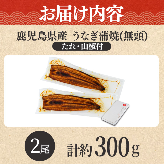 【0104347a-2611】＜11月上旬発送予定＞東串良町のうなぎ蒲焼(無頭)(2尾・計約300g・タレ、山椒付) うなぎ 高級 ウナギ 鰻 国産 蒲焼 蒲焼き たれ 鹿児島 ふるさと 人気【アクアおおすみ】
