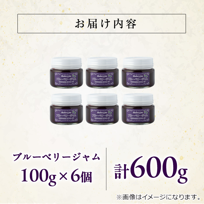 【12161】贅沢な国産ブルーベリージャム(100g×6個・計600g)ジャム 瓶 果物 果実 フルーツ パン【村山製油】