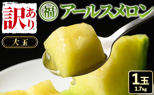 【0111109a】＜訳あり＞マル福の高級アールスメロン(1玉・1.7kg)メロン フルーツ 果物 果実 1キロ 数量限定 期間限定【マル福園芸組合】