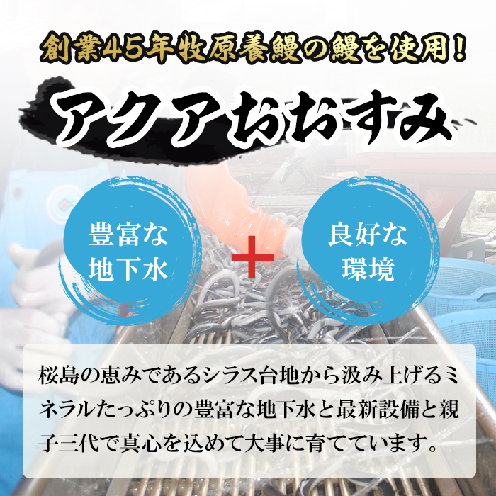 【11028】東串良町のうなぎ肝の素焼き(計500g・100g×5P)うなぎ 高級 ウナギ 鰻 国産 鹿児島 ふるさと 人気【アクアおおすみ】