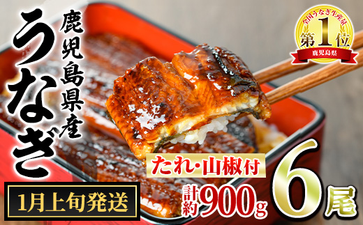 【0364340a-2601】＜1月上旬発送予定＞東串良町のうなぎ蒲焼(無頭)(6尾・計約900g・タレ、山椒付) うなぎ 高級 ウナギ 鰻 国産 蒲焼 蒲焼き たれ 鹿児島 ふるさと 人気 【アクアおおすみ】