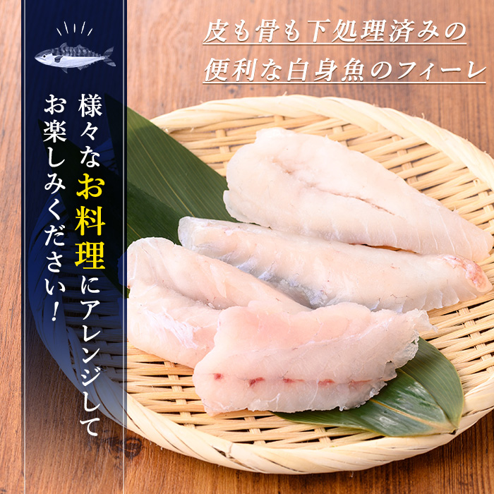 【0125605a】東串良町近海で獲れた白身魚の切り身(8枚・計480g以上) 魚 切り身 白身魚 切身 料理 おかず ご飯 天ぷら フライ ソテー ムニエル 鍋 骨なし 皮なし 【プリモピアット】