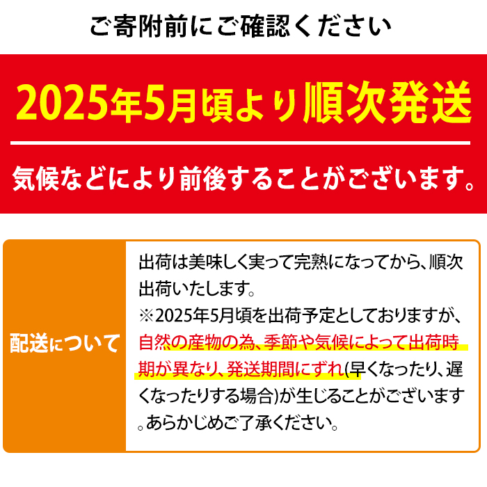 【0145912a】＜秀品・数量限定＞南国鹿児島県産の太陽の恵み！完熟マンゴー(大玉1個・550g以上) 果物 フルーツ 果実 デザート 国産 冷蔵【東串良物産館ルピノンの里】