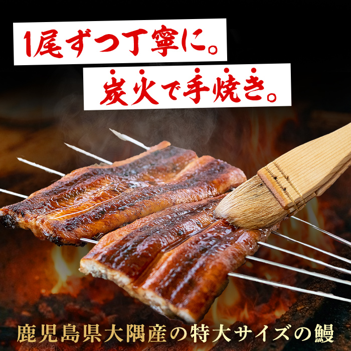 【0174319a】東串良町のうなぎ炭火蒲焼(無頭)(2尾・計約320g・タレ、山椒付) うなぎ 高級 ウナギ 鰻 国産 蒲焼 蒲焼き たれ 鹿児島 ふるさと 人気【アクアおおすみ】