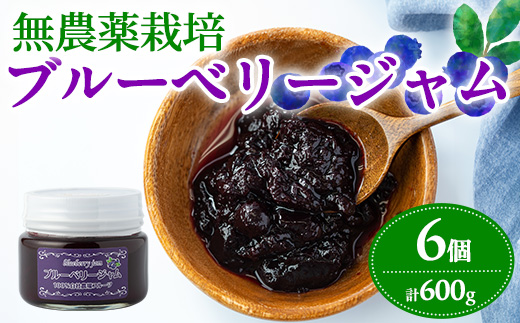 【12161】贅沢な国産ブルーベリージャム(100g×6個・計600g)ジャム 瓶 果物 果実 フルーツ パン【村山製油】