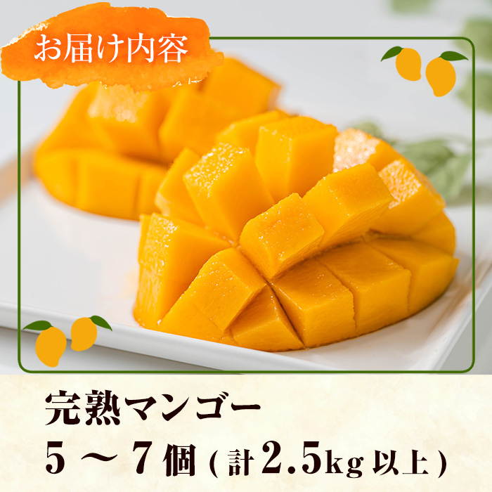 【0255911a】＜先行予約・数量限定＞南国鹿児島県産の太陽の恵み！完熟マンゴー(計2.5kg以上・5-7個入り) 果物 フルーツ 果実 デザート 国産 冷蔵 【東串良物産館ルピノンの里】