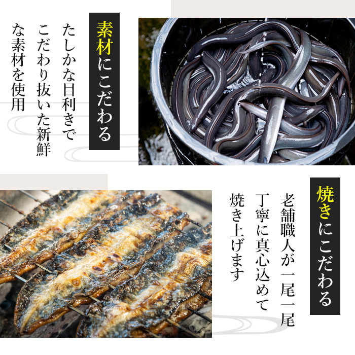 【0303713a-M】＜母の日ギフト＞鹿児島県産東串良町のうなぎ蒲焼のきざみ(計375g・75g×5パック) うなぎ 高級 ウナギ 鰻 国産 蒲焼 蒲焼き きざみ たれ 鹿児島 うな重 うな丼 ひつまぶし 【うなぎ太郎】