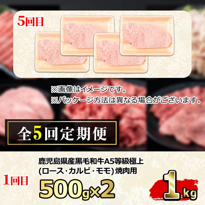 【2401710b】＜定期便・連続全5回＞鹿児島県産 黒毛和牛 A5等級 牛づくし定期便(5ヶ月連続・合計約5.2kg) 国産 牛肉 ロース モモ カルビ 切り落とし サーロインステーキ サイコロステーキ 定期便 鹿児島 焼肉 しゃぶしゃぶ すき焼き 【前田畜産たかしや】