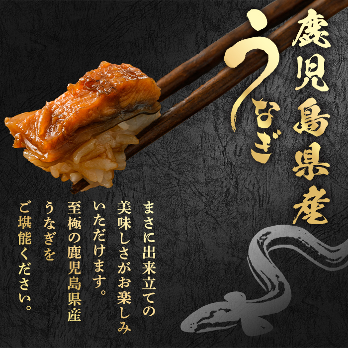 【12030】東串良町のうなぎ蒲焼カットときざみうなぎのおためしセット(合計4P・蒲焼カット80g×2P、きざみ鰻60g×2P)うなぎ 高級 ウナギ 鰻 国産 蒲焼 蒲焼き たれ 鹿児島 ふるさと 人気【アクアおおすみ】