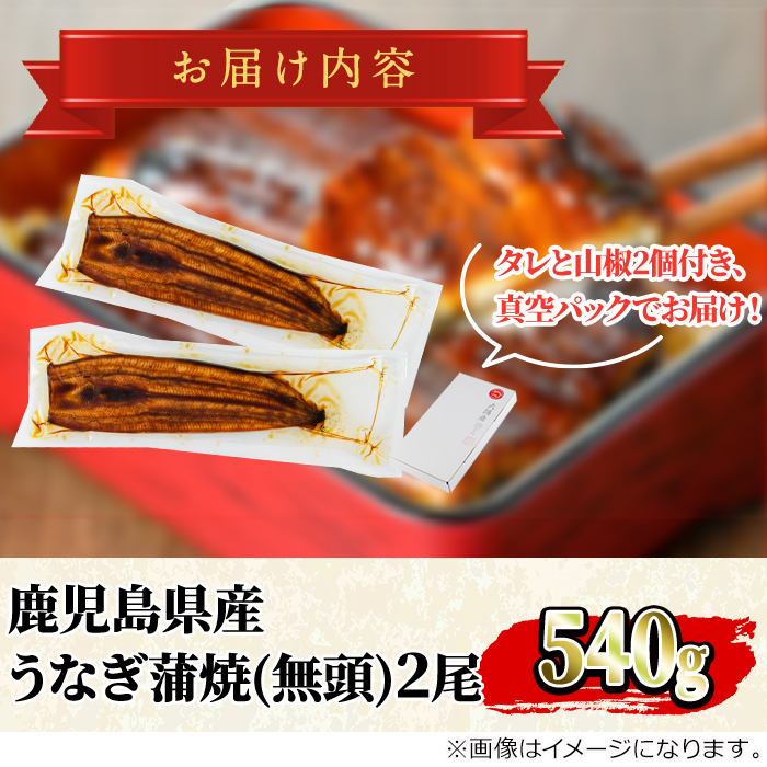 【0174318a】＜数量限定＞＜メガサイズ＞「養鰻業者応援」うなぎ蒲焼き(無頭)(2尾・計約540g・タレ、山椒付) うなぎ 高級 ウナギ 鰻 国産 蒲焼 蒲焼き たれ 鹿児島 ふるさと 人気【アクアおおすみ】