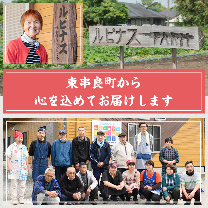 【0111503a】＜訳あり＞南高梅の梅干し(1.1kg)国産 うめ うめぼし 梅 紫蘇【ルピナス会】