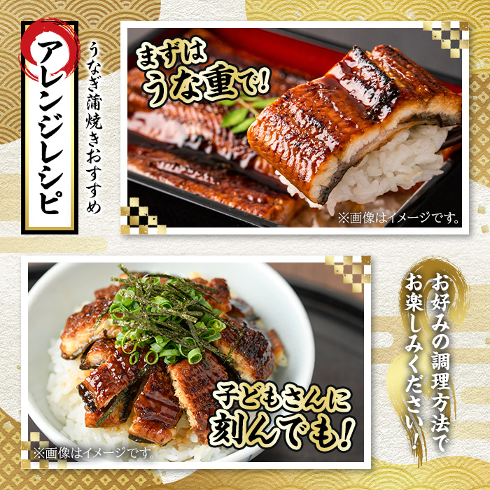 【4504306a】＜大満足＞東串良町のうなぎ蒲焼(無頭)(120g×100尾・計約12000g・タレ、山椒付)うなぎ 高級 ウナギ 鰻 国産 蒲焼 蒲焼き たれ 鹿児島 ふるさと 人気【アクアおおすみ】