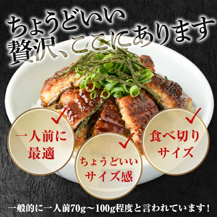 【0074336a】＜食べきりサイズ！＞東串良町のうなぎ蒲焼(無頭)(計2尾・計約200g・タレ、山椒付) うなぎ 蒲焼長焼 ウナギ 鰻 蒲焼き 国産うなぎ 国産 九州産 鹿児島 鹿児島県産 人気 ランキング 高級 家庭用 おすすめ たれ さんしょう 【アクアおおすみ】