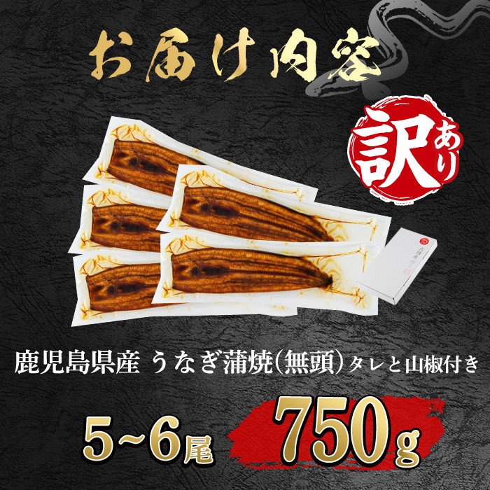 【0184359a-2607】＜土用丑の日までにお届け＞【緊急支援品】＜訳あり＞鰻の蒲焼き(無頭)(5～6尾・計約750g・タレ、山椒付) うなぎ ウナギ 鰻 国産 蒲焼 蒲焼き たれ 鹿児島 ふるさと 人気 支援 【アクアおおすみ】
