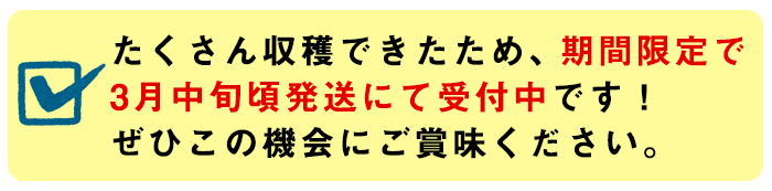 【0101117a】【期間限定・数量限定】＜訳あり＞マル福の高級アールスメロン(1玉・1.7kg) メロン フルーツ 果物 果実 1キロ 数量限定 期間限定 【マル福園芸組合】