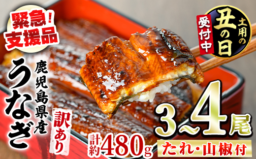 【0134350a-2607】＜土用丑の日までにお届け＞【緊急支援品】＜訳あり＞鰻の蒲焼き(無頭)(3～4尾・計約480g・タレ、山椒付) うなぎ ウナギ 鰻 国産 蒲焼 蒲焼き たれ 鹿児島 ふるさと 人気 支援 【アクアおおすみ】