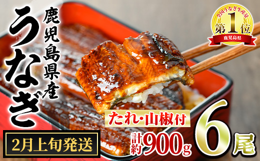 【0364340a-2602】＜2月上旬発送予定＞東串良町のうなぎ蒲焼(無頭)(6尾・計約900g・タレ、山椒付) うなぎ 高級 ウナギ 鰻 国産 蒲焼 蒲焼き たれ 鹿児島 ふるさと 人気 【アクアおおすみ】