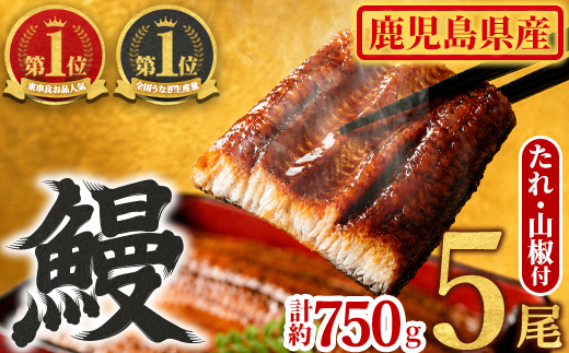 【0294315a】東串良町のうなぎ蒲焼(無頭)(5尾・計約750g・タレ、山椒付)うなぎ 高級 ウナギ 鰻 国産 蒲焼 蒲焼き たれ 鹿児島 ふるさと 人気【アクアおおすみ】