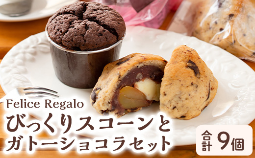【0114102a】ガトーショコラ(4個)とびっくりスコーンセット！(5個)ケーキ お菓子 スイーツ 洋菓子 焼き菓子 個包装 小分け おやつ チーズ チョコ 栗 餡子【Felice Regalo】