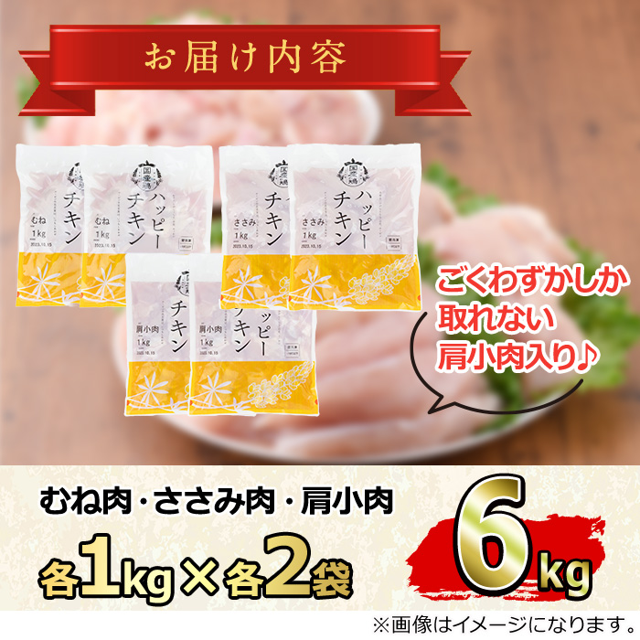 【0124806a-2605】＜2026年5月発送予定＞国産若鶏肉ヘルシーセット(合計6kg・ムネ、ささみ、肩小肉) 鶏肉 鳥肉 とり肉 むね肉 おかず 小分け 国産 【エビス】