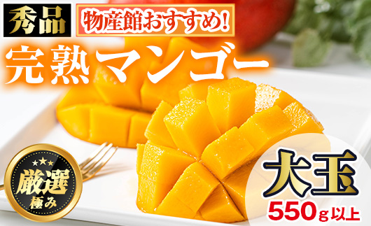 【0145912a】＜秀品・数量限定！先行予約＞南国鹿児島県産の太陽の恵み！完熟マンゴー(大玉1個・550g以上) 果物 フルーツ 果実 デザート 国産 冷蔵 【東串良物産館ルピノンの里】