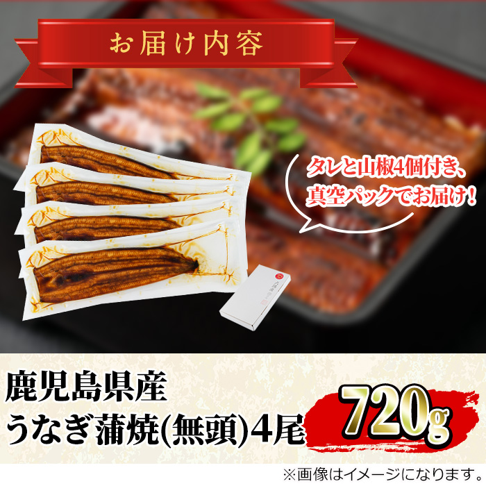 【27034】東串良町のうなぎ蒲焼(無頭)(4尾・計約720g・タレ、山椒付)うなぎ 高級 ウナギ 鰻 国産 蒲焼 蒲焼き たれ 鹿児島 ふるさと 人気【アクアおおすみ】