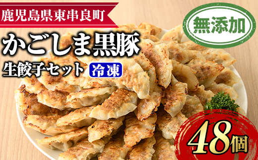 【0125122a】鹿児島黒豚生餃子セット(12個入×4パック・計48個)黒豚 豚肉 ぶた肉 餃子 ギョウザ ぎょうざ 惣菜【鹿児島ますや】