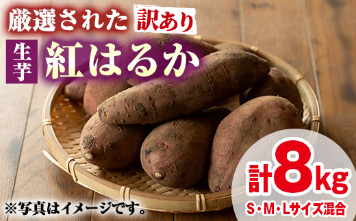 【0135922a】＜訳あり＞物産館おすすめ！厳選された紅はるか(生芋・計8kg) 生芋 焼芋 焼き芋 やきいも さつまいも さつま芋 スイーツ 期間限定 【東串良物産館ルピノンの里】