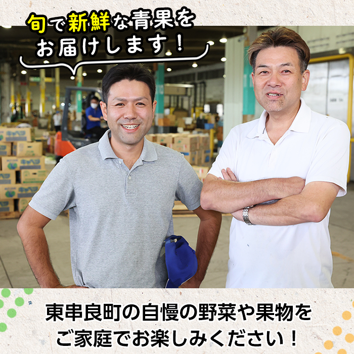 【0473608b】＜定期便・全3回＞自慢の農家×老舗青果店のフルーツ定期便(計6個) メロン アールスメロン スイカ すいか 小玉スイカ 肥後グリーン 果物 フルーツ 果実 セット 【有留青果】