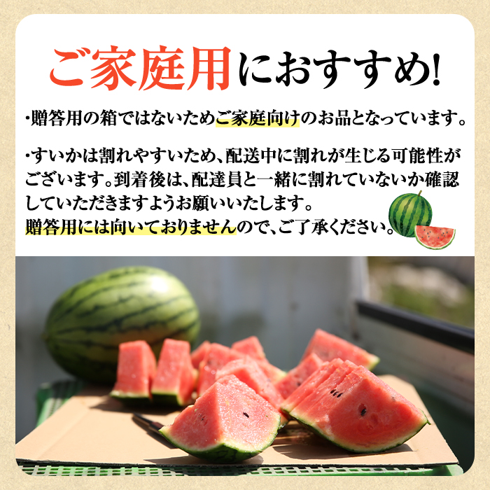 ã0165005aãã2026幎5æä»¥éçºéãå°çãããã»ããã»ã¬ãŒã«(2çã»èš4kg以äž) æç© æå® ãã«ãŒã ã¹ã€ã« ããã¬ãŒã« æ°ééå® æééå®ãå®®å
蟲åã