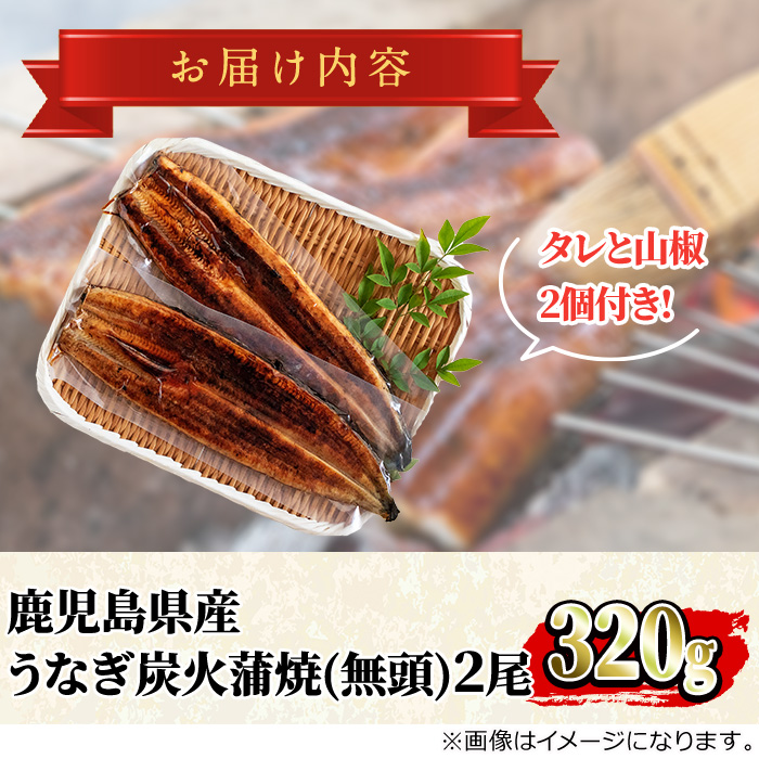 ã0174319aãæ±äž²è¯çºã®ããªãçç«è²çŒ(ç¡é )(2å°Ÿã»èšçŽ320gã»ã¿ã¬ãå±±æ€ä») ããªã é«çŽ ãŠãã® é°» åœç£ è²çŒ è²çŒã ãã 鹿å
å³¶ ãµãã㚠人æ°ãã¢ã¯ã¢ãããã¿ã