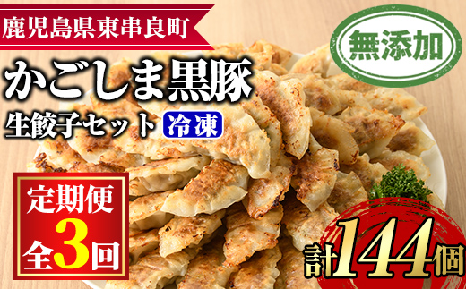 【0365103b】＜定期便・全3回＞鹿児島黒豚生餃子48個セット(12個入×4パック×3回・計144個) 黒豚 豚肉 ぶた肉 餃子 ギョウザ ぎょうざ 惣菜【鹿児島ますや】
