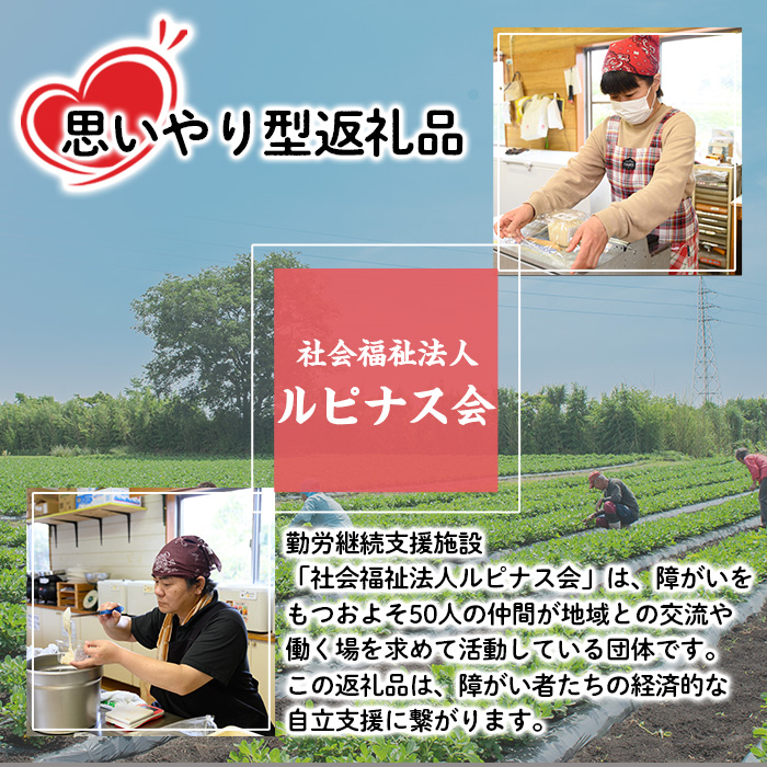 【0111504a】《思いやり型返礼品》コク出し発酵調味料！万能タレ＜塩麹・醤油麹＞(計5本・塩麹360ml×2本/醤油麹360ml×3本)調味料 万能調味料 たれ 麹【ルピナス会】