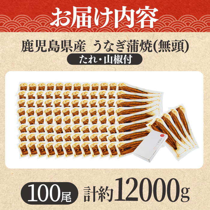 【4504306a】＜大満足＞東串良町のうなぎ蒲焼(無頭)(120g×100尾・計約12000g・タレ、山椒付)うなぎ 高級 ウナギ 鰻 国産 蒲焼 蒲焼き たれ 鹿児島 ふるさと 人気【アクアおおすみ】